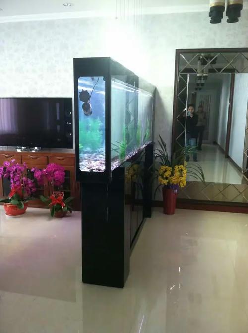 百晶坊专业水族定制工厂 13501211685狄宏